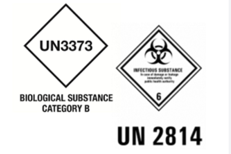 From UN2814 to UN3373: Choosing the Right Biohazard Container for Your Lab